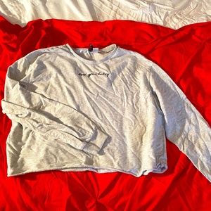 Not Your Baby Grey Crop Sweatshirt